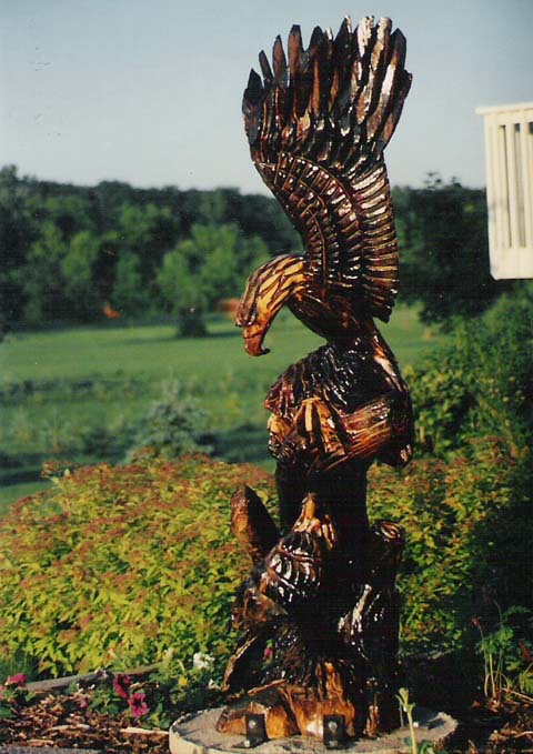 Eagle on Tree